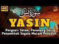Download Lagu Surah Yasin Pengusir Setan dan Penyembuh Segala Macam Penyakit, Ngaji Merdu | By : Alaa Aqel