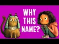 Lagu What Your Pet's Name Says About You (Psychology Explained)