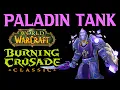WoW TBC Anniversary Paladin Tank Guide
