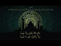 سلّم الوصول إلى علم الأصول في توحيد الله واتّباع الرّسول ﷺ (منظومة) للشيخ : حافظ الحكمي