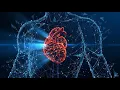 Cardiology Board Review 2025 2026 Master Every High-Yield Concept
