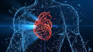 Cardiology Board Review 2025 2026 Master Every High-Yield Concept