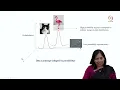 Lec 44 Introduction to Diffusion Model