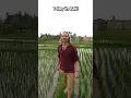 Download Lagu 1 day vs 10 years in Bali