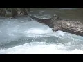 【Anthology of Light & Water】Rapids, Shallows, and Crashing Waves　Soothing Moments: BGM & BGV