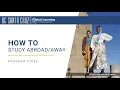 How to Study Program Types