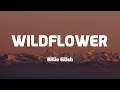 Download Lagu Billie Eilish - WILDFLOWER (Lyrics)