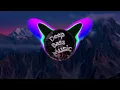 Download Lagu Tz Da Coronel - Anota Placa (BRN Remix)