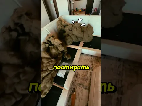 Девушка решила постирать диван и пожалела
