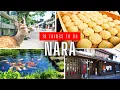 Lagu 18 Things To Do in Nara, Japan (Travel Guide)