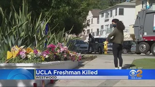 UCLA Freshman Killed In Tragic Fall