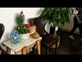 Body Massage at Massage Life Edmonton