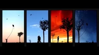 Pinkzebra Larger Than Life YouTube 