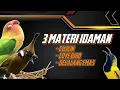 Download Lagu MASTERAN SOGON ‼️ 3 MATERI IDAMAN CILILIN, LOVE BIRD, DAN BELALANG EMAS #sogon #sogongacor