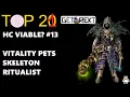 Grim Dawn Build Highlight - Vitality Skeleton Ritualist