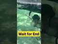Download Lagu upskirt in underwater  #imagicawaterpark #imagica #wetnjoy #waterpark #lonavala #upskirt #dubai