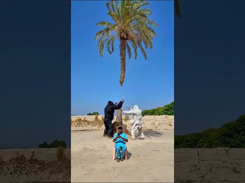 kong se bandy ko bcha lya #shorts #trending #viral #fyp #india