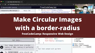 Make Circular Images with a border radius Basic CSS freeCodeCamp tutorial