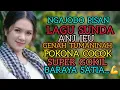 Download Lagu LAGU SUNDA JODO ABI GENAH TUMANINAH SUPER GOKIL BARAYA SATIA  💪 .