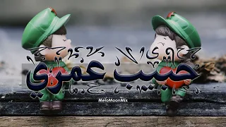 أغنية حبيب عمري   أغنية حب رومانسية دندنها