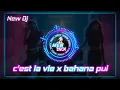 Download Lagu DJ C'EST LA VIE X BAHANA PUI//TERBARU FULL BASS versi (reggae remix)💣🔊🔊