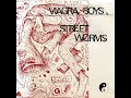 Slow Learner - Viagra Boys