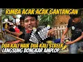 Download Lagu Amazing 13 month old pastor is able to compete with adults! Murai Batu Rimba is the champion again