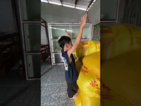 Bo leo bao lúa và cái kết #bo2020