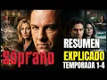 THE SOPRANOS The Complete Series in One Is It the Best of All Summary