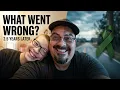 2 5 Years Without Sebastian Rogers What Went Wrong