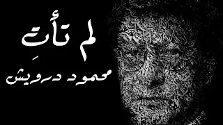 لم تأت    محمود درويش                 دندنها