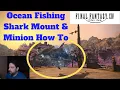 How to Get Shark Mount FF14 Hybodus