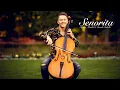 Download Lagu Senorita - Shawn Mendes, Camila Cabello / Cello Cover by Jodok Vuille