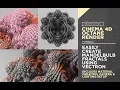 Cinema 4D And Octane Render - Easily Create Mandelbulb Fractals Using Vectron