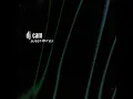 Innervisions - DJ Cam