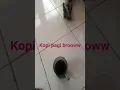 Download Lagu #music menungggu #rap kopi pagi broww