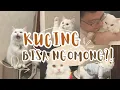 Download Lagu Kucing Viral yang Bisa Ngomong, Gak Dikasih Makan kah? Yuk Kenalan dengan Kootie 😻 / Talking Cat