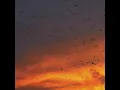 Fading Light - Mathias Grassow