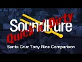 Santa Cruz Tony Rice Dreadnought Comparison, Quick n' Dirty