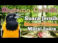 Download Lagu MASTERAN BURUNG KASAR PALING DI CARI JURI