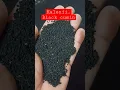 Download Lagu BLACK CUMIN | KALONJI |\