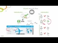 Qlik Sense introduction to security rules and section access