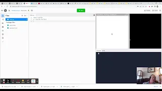 Python part 6 Make a turtle draw a pentagon
