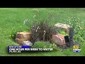 Palmer Lake implements Stage 1 water restrictions