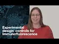 Experimental design what controls should I include for Immunofluorescence IF CST Tech Tips