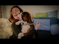 I got a BOXER PUPPY Welcome home Ragnar