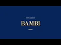 Hippo Campus - Bambi (Lyrics) 4K