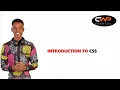 What is CSS codewithpunchy