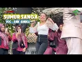 Download Lagu SUMUR SANGA VOC . ANIK ARNIKA - SINGA DANGDUT ANDI PUTRA 1- SHOW JUNTI WEDEN INDRAMAYU