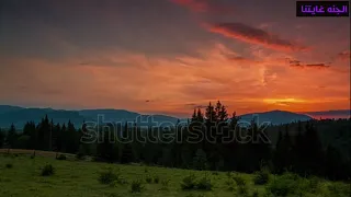 أجمل حالات واتساب دينيه قصيره قرآن الشيخ محمود علي البنا مقاطع دينيه قصيره اشتركوا في الوصف 